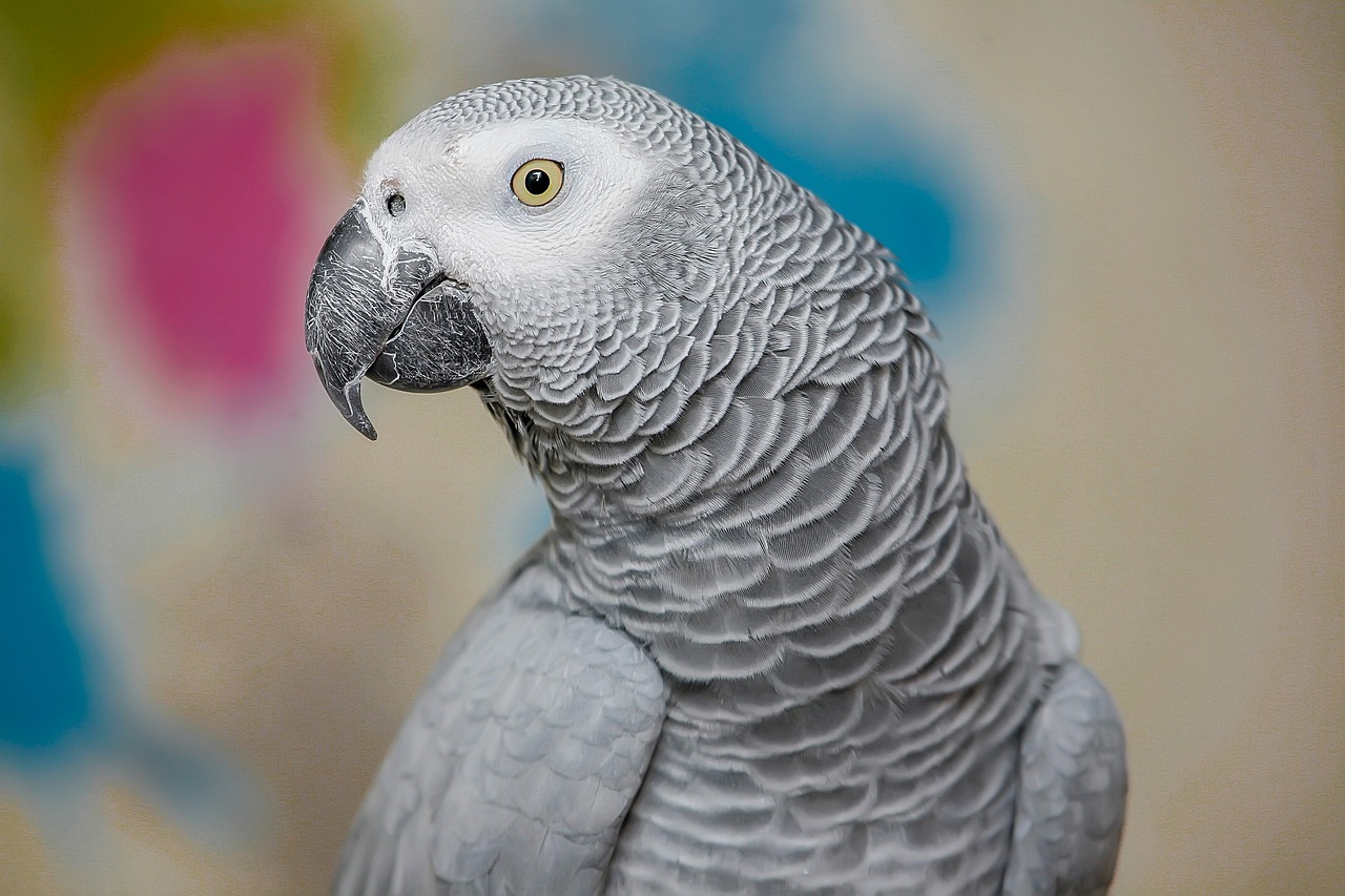 An LLM is like a parrot that knows everything (in its training data) but understands nothing. This is a departure from real parrots, which understand quite a lot.